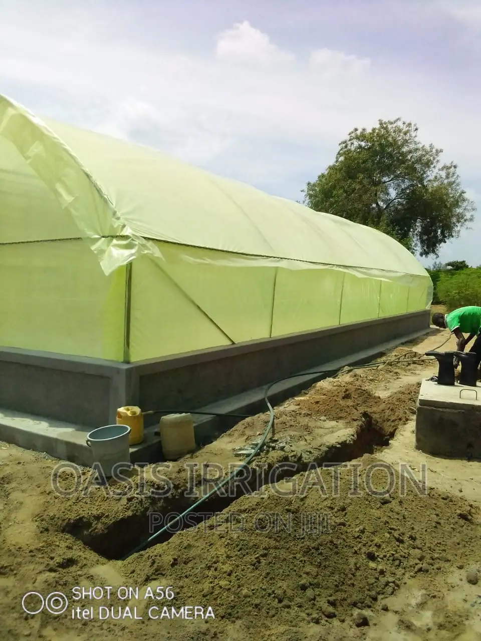 Greenhouse Dryers