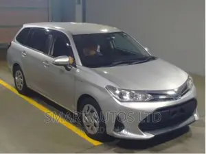 Toyota Corolla Fielder 2018 Silver