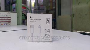 iPhone 14 Pro Max USB C to Lightning Cable - main view