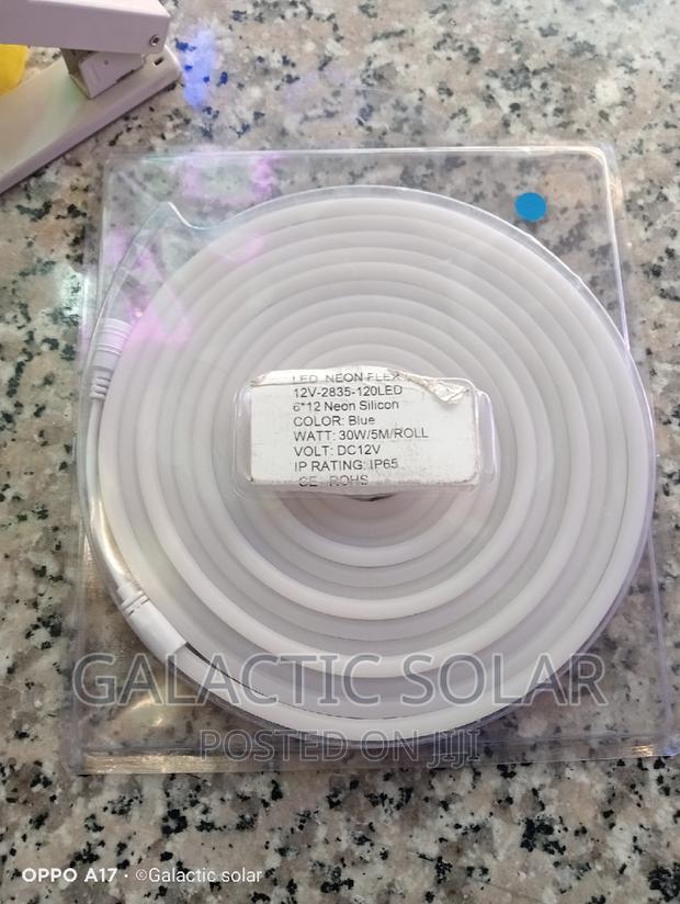 Neon Lights Dc 12v