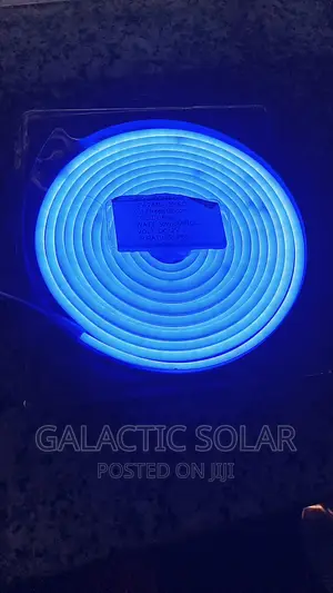 12v Dc Neon Lights