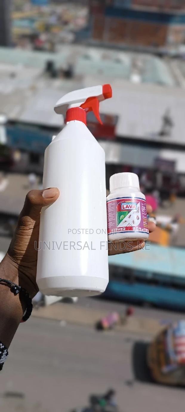 Spray Bottle +Lava Insecticide Kunguni - main view