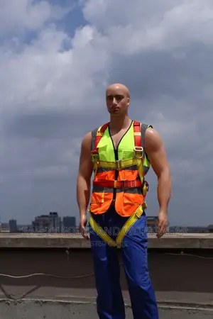 Vaultex Harness For Window Washers