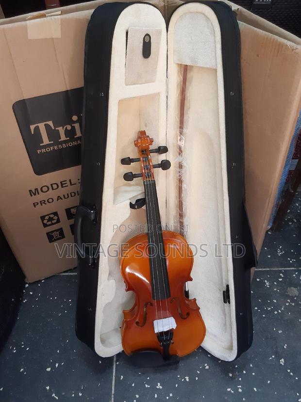 4/4 Mapple Leaf Usa Violin - thumbnail 2