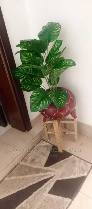 Calabash, Stand and Artificial Plant Offer