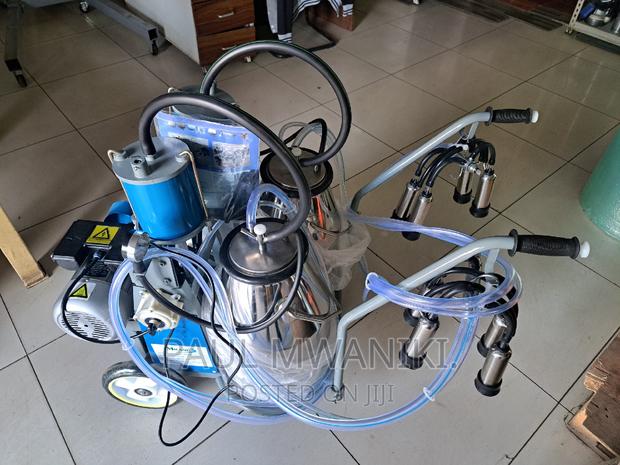Stainless Steel Double Buckets Milking Machine. - main view