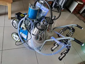 Stainless Steel Double Buckets Milking Machine.