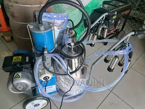 Stainless Steel Double Buckets Milking Machine.