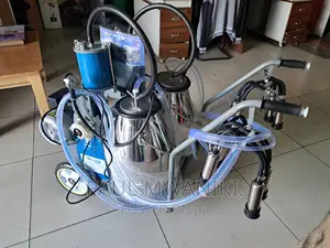 Stainless Steel Double Buckets Milking Machine.