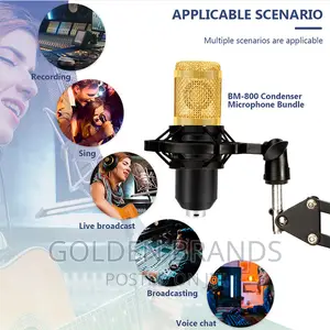 Professional Anchor BM800 Live Streaming, Recording Studio,