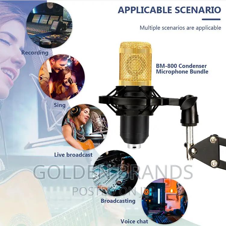 Professional Anchor BM800 Live Streaming, Recording Studio,