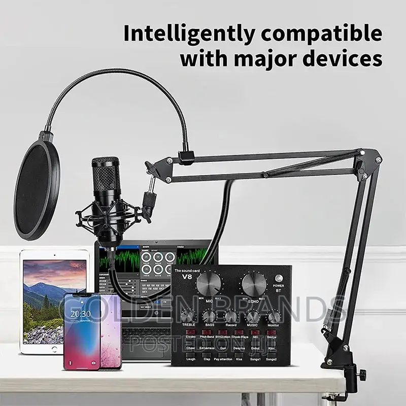 Professional Anchor BM800 Live Streaming, Recording Studio,