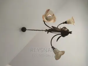 Chandelier Lights