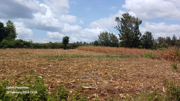 One Acre in Kenol Muranga County - thumbnail 3
