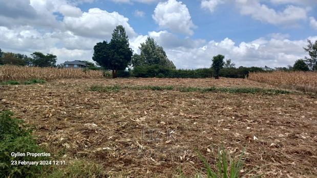 One Acre in Kenol Muranga County - thumbnail 4