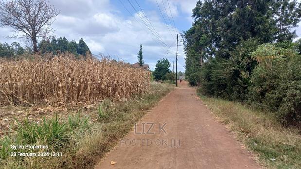 One Acre in Kenol Muranga County - thumbnail 6