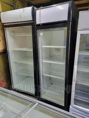 Display Fridge 650l