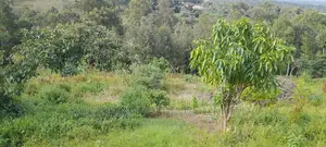 Distress 3 Prime Acres Redsoil in Matasia Ngong Near Highway