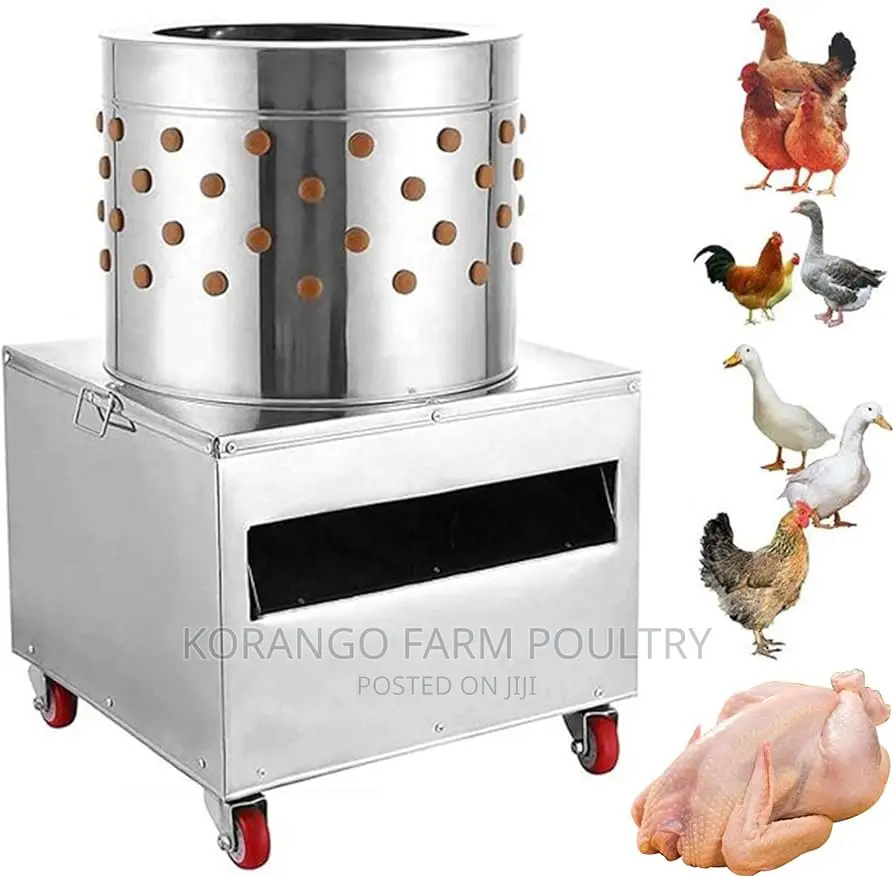 Rd 60 Automatic Feathers Machine