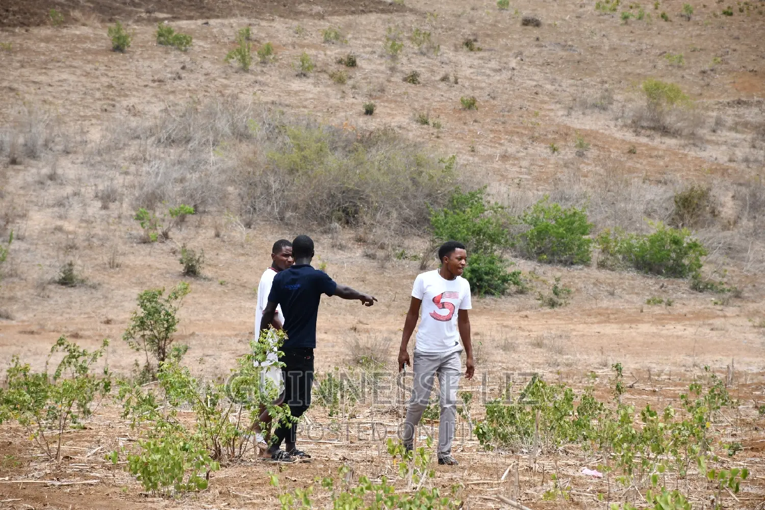 MAVUENI Phase 3 Plots for Sale