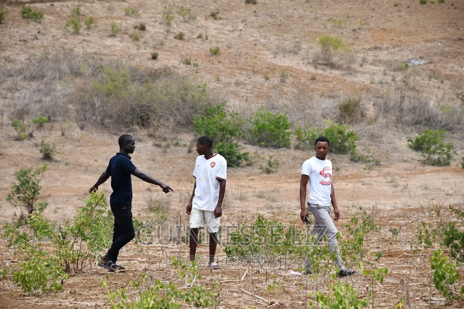 MAVUENI Phase 3 Plots for Sale