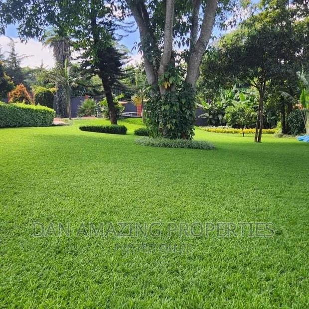 6bdrm Mansion in /On 1 Acre, Runda for sale - thumbnail 16