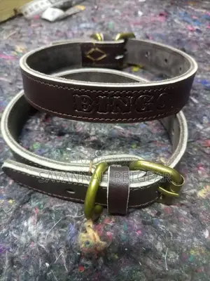 Leather Dog Collars for Small and Medium Dogs