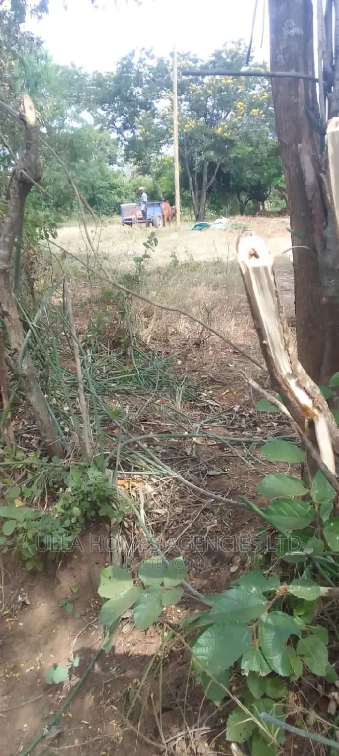 One Acre at Kwa Katheke ,Konza 800metres From Tarmac