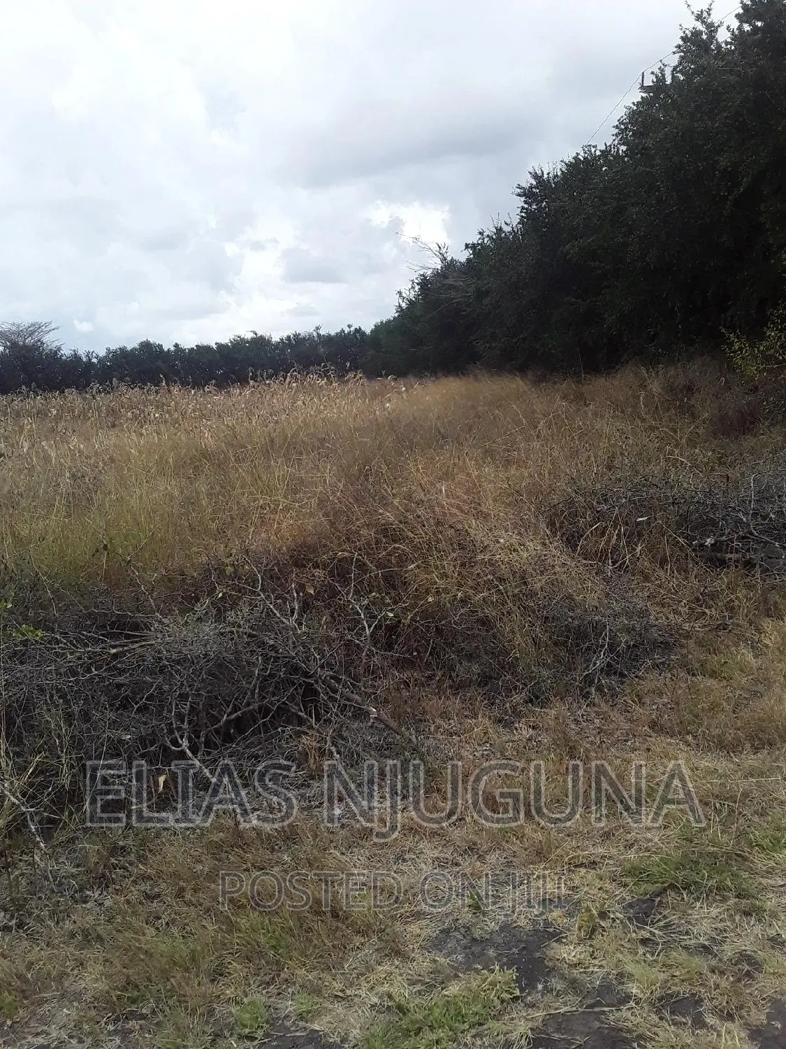 100 Acres Ruai Kantafu Off Kangundo Road