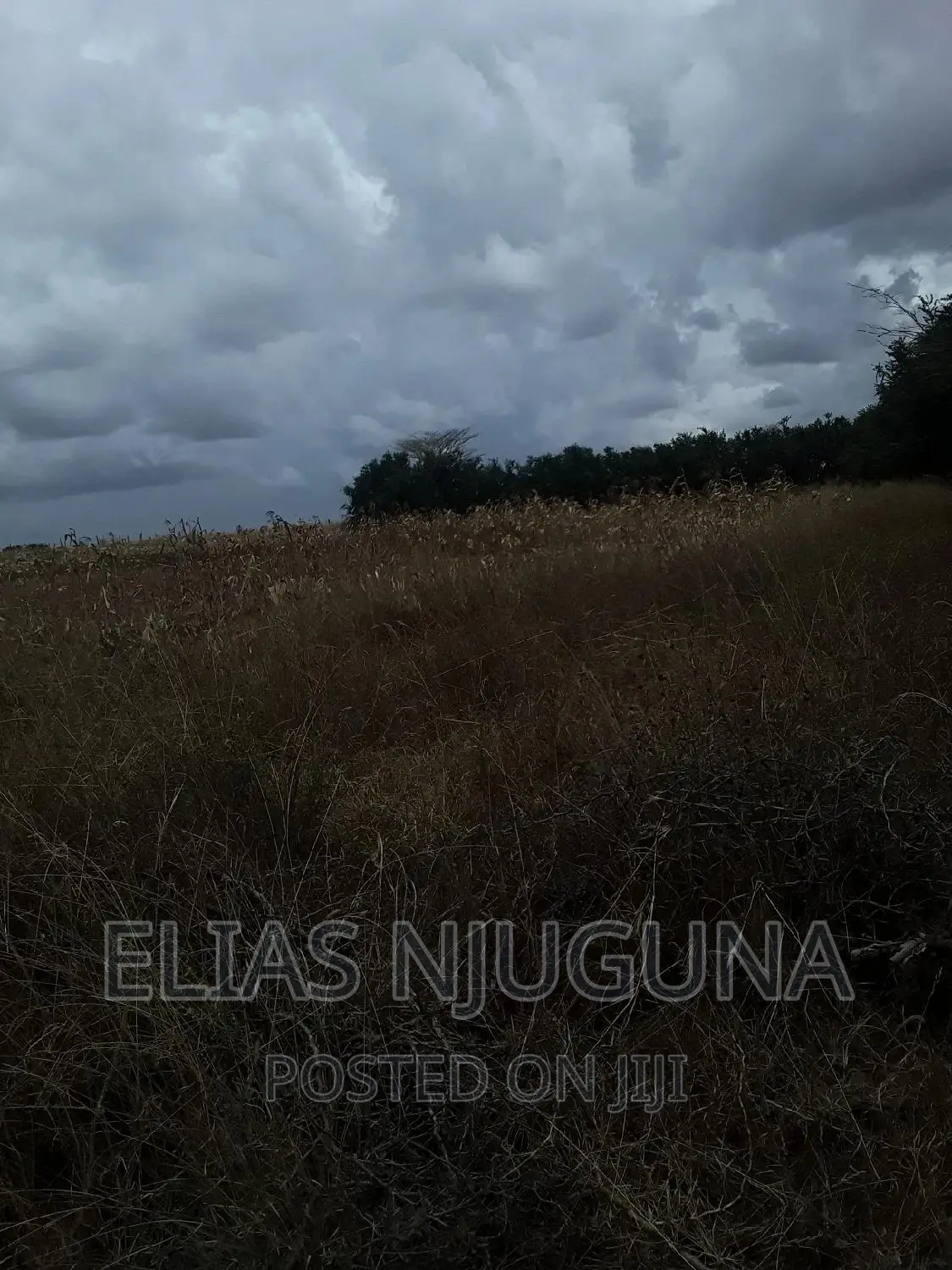 100 Acres Ruai Kantafu Off Kangundo Road
