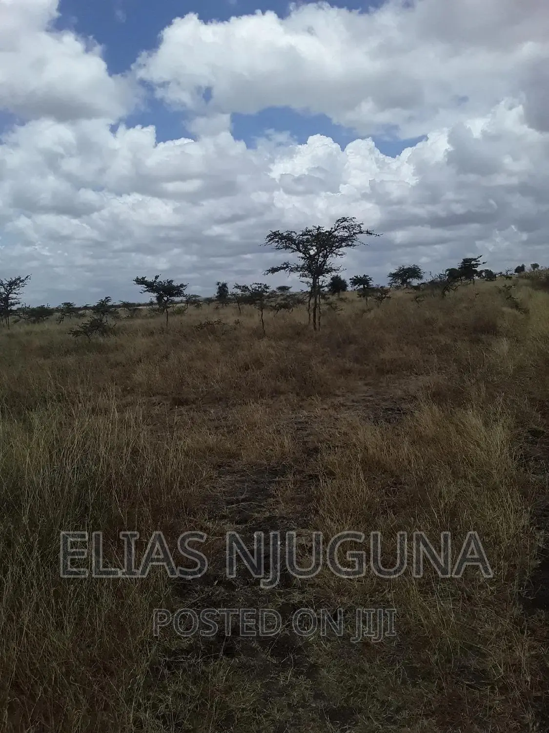 100 Acres Ruai Kantafu Off Kangundo Road