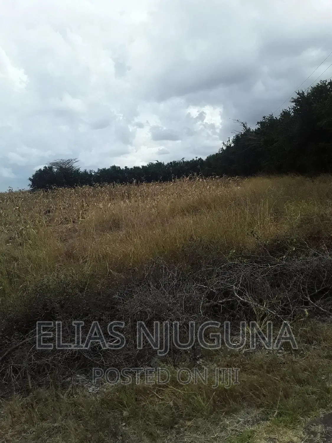 100 Acres Ruai Kantafu Off Kangundo Road
