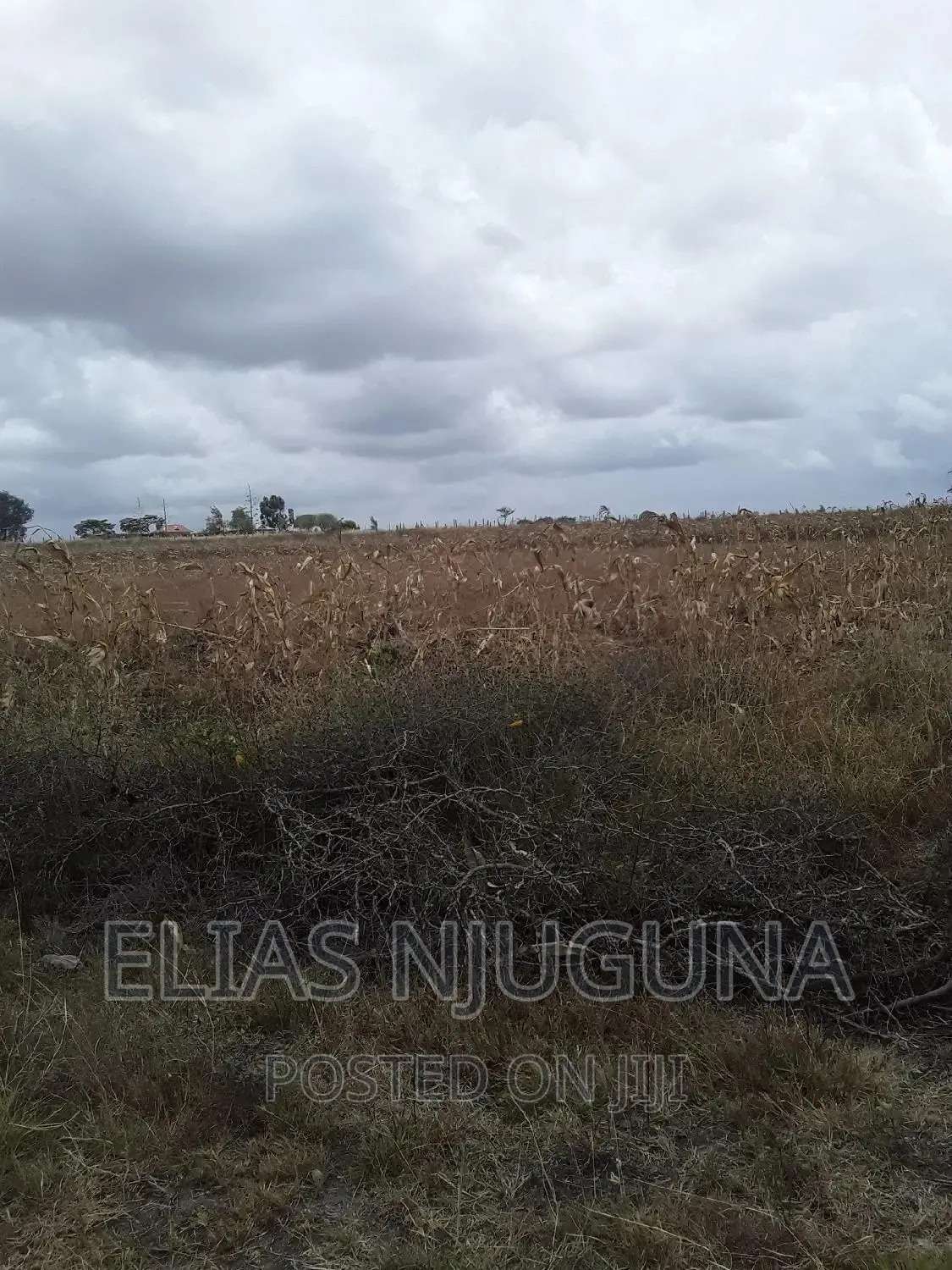 100 Acres Ruai Kantafu Off Kangundo Road