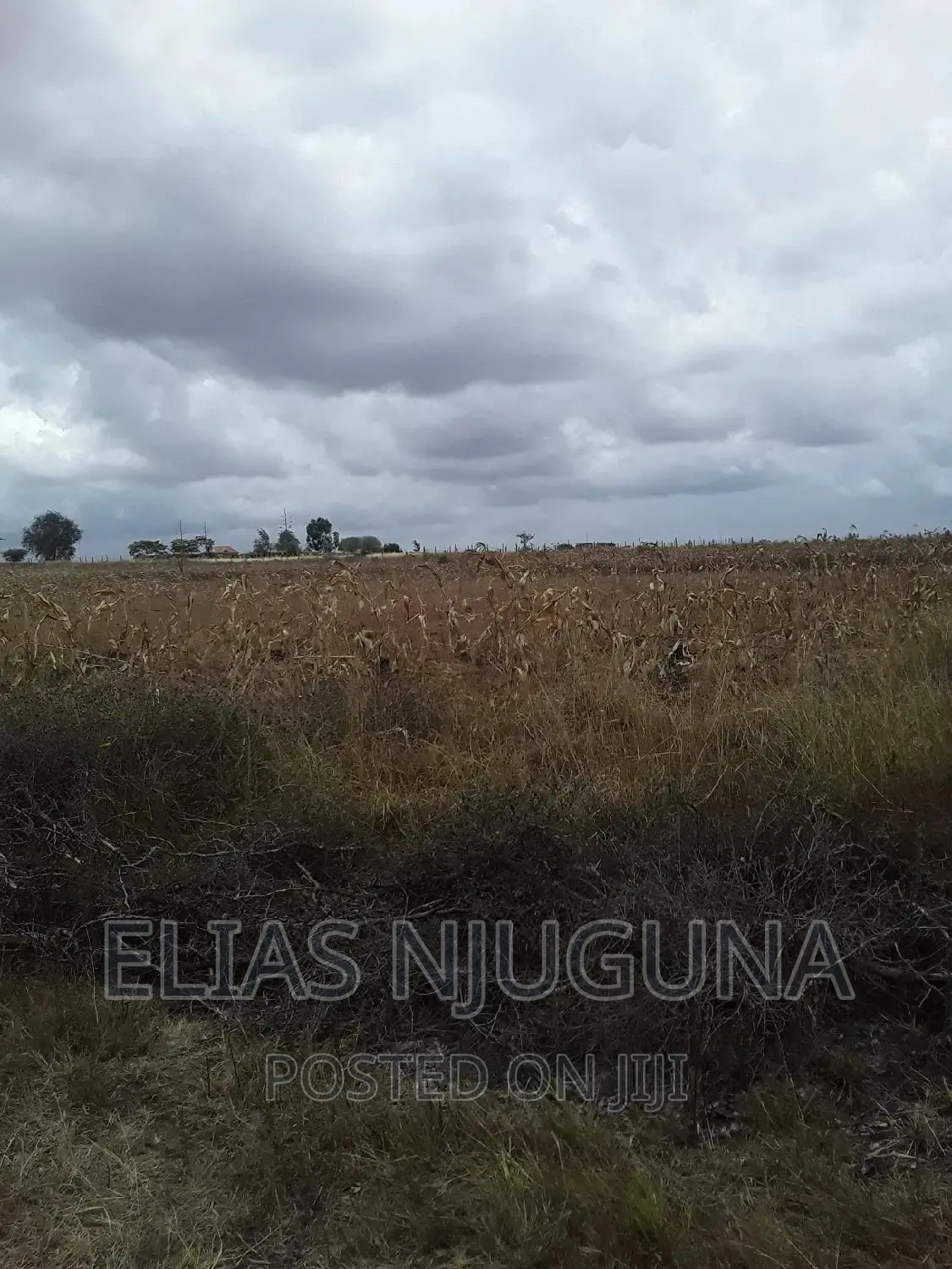 100 Acres Ruai Kantafu Off Kangundo Road