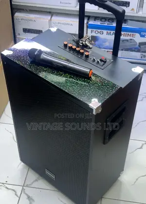 TAGWOOD LTS-15A Outdoor Speaker With Bluetooth. 15000w