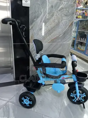 Blue Tricycle With Protective Side Bars Push Handle