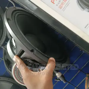 12 Inch Midrange Naked Speaker