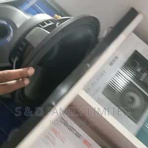 12 Inch Midrange Naked Speaker