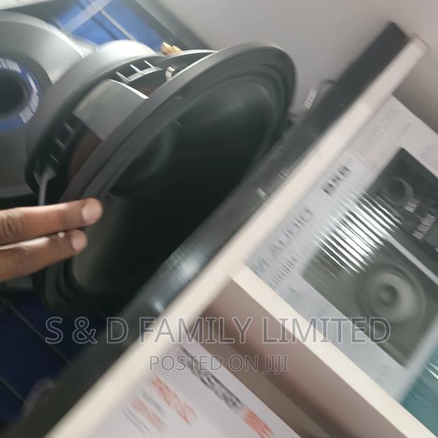 12 Inch Midrange Naked Speaker - thumbnail 2
