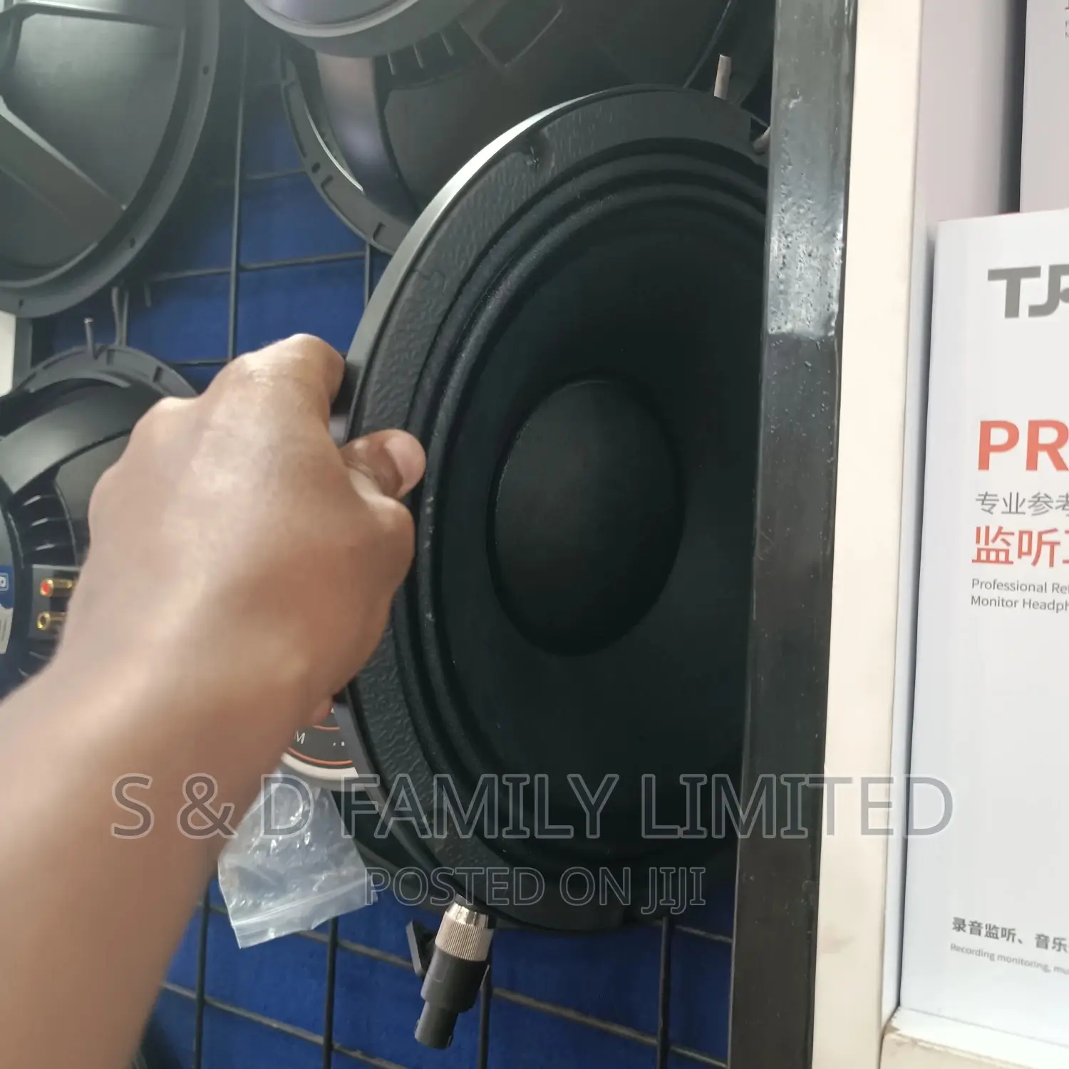 12 Inch Midrange Naked Speaker