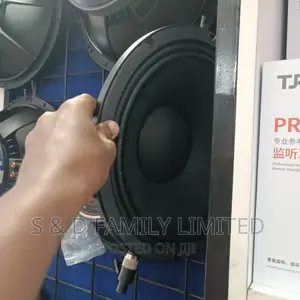 12 Inch Midrange Naked Speaker