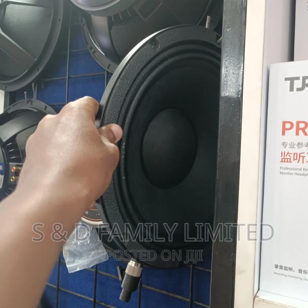 12 Inch Midrange Naked Speaker - thumbnail 4