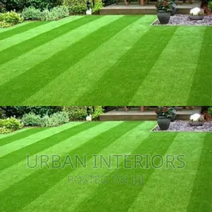 Artificial Grass Artificial Grass Artificial Grass Carpet