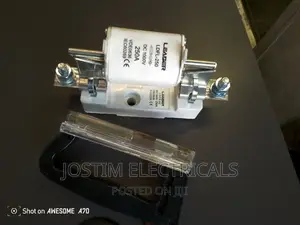 1000v 250 Fuse