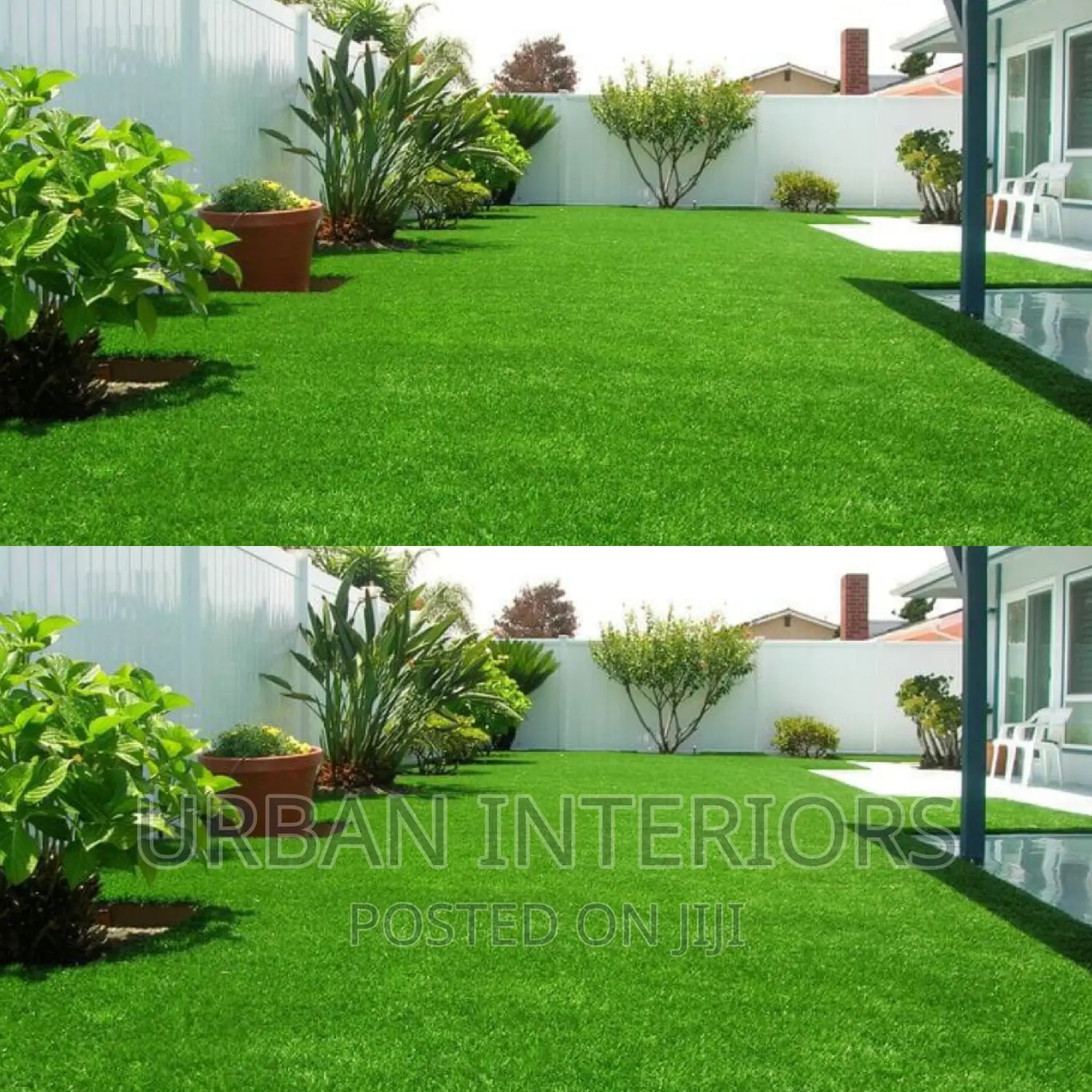 Grass Carpet Grass Carpet Grass Carpet Grass Carpet