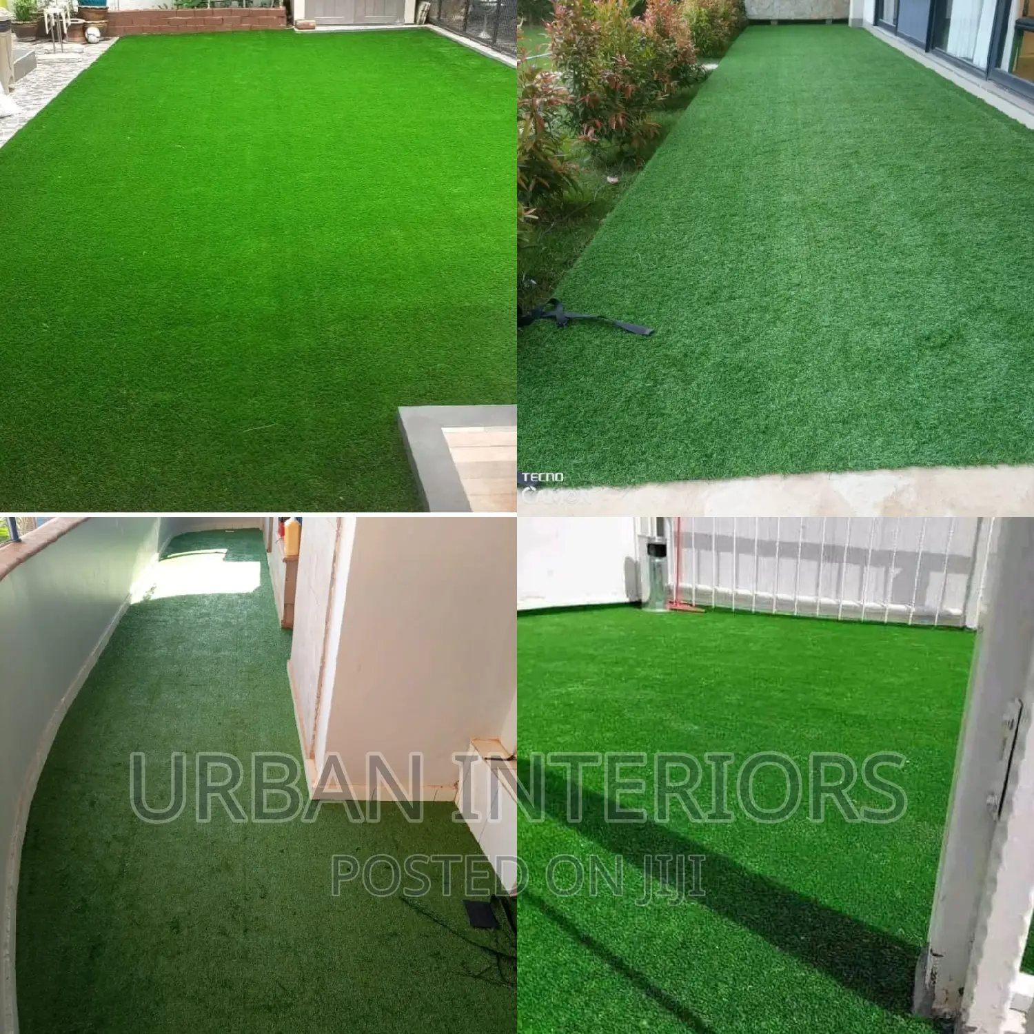 Grass Carpet Grass Carpet Grass Carpet Grass Carpet Grass