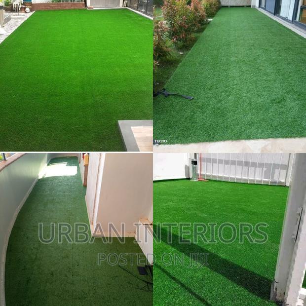 Grass Carpet Grass Carpet Grass Carpet Grass Carpet Grass