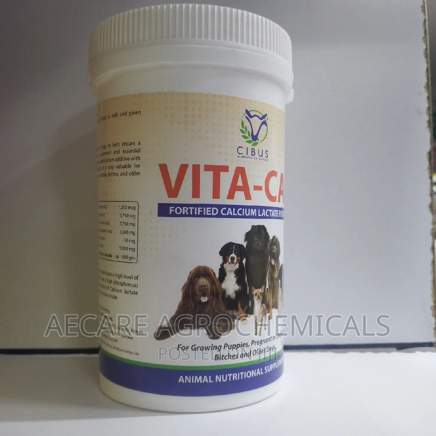 Vita-Cal Calcium Lactate Powder 200G Nutritional Sup