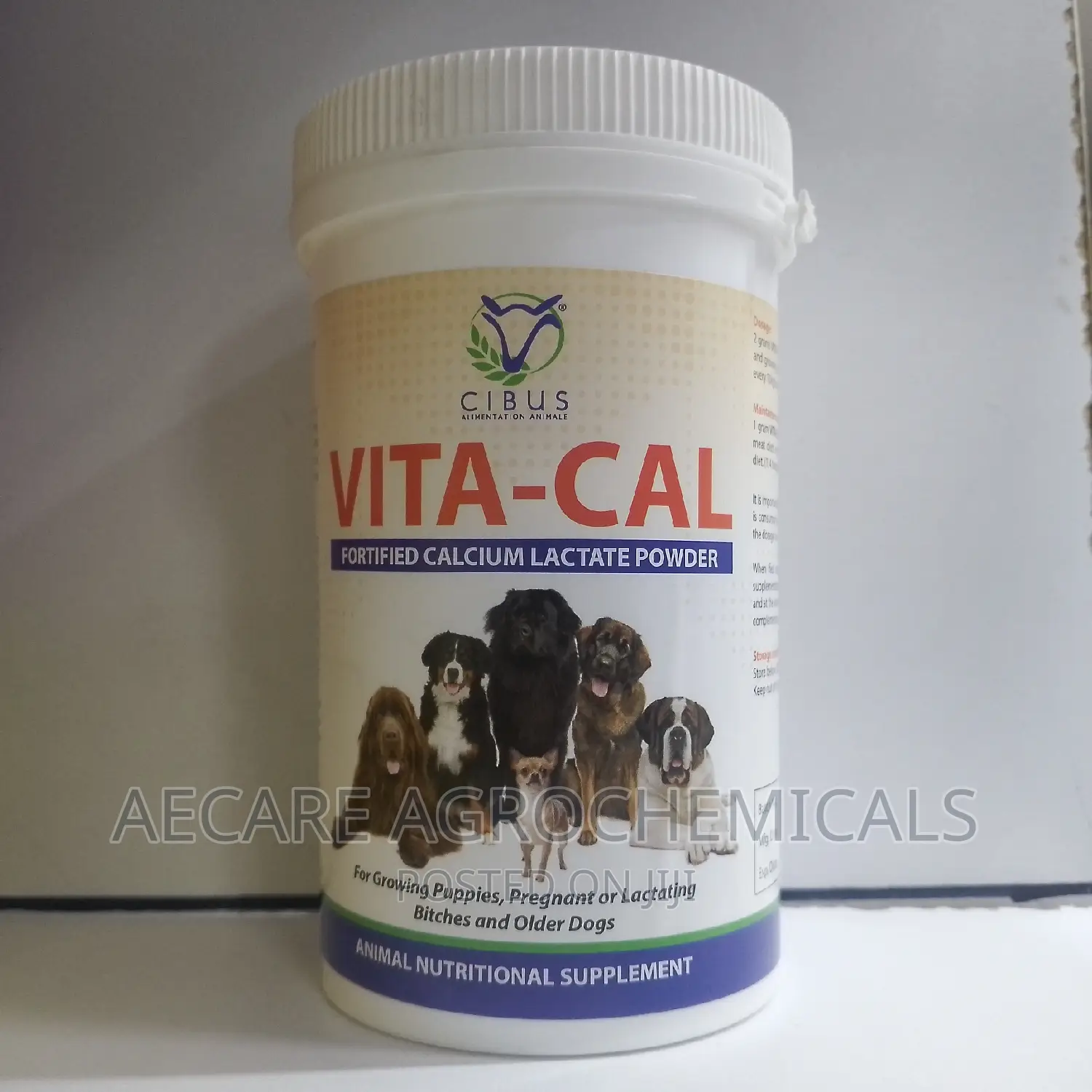 Vita-Cal Calcium Lactate Powder 200G Nutritional Sup