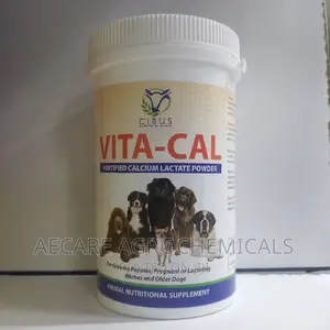 Vita-Cal Calcium Lactate Powder 200G Nutritional Sup